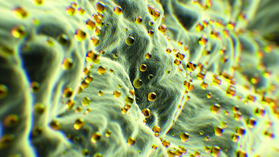 Macro view of golden omega-3 droplets in an emulsion