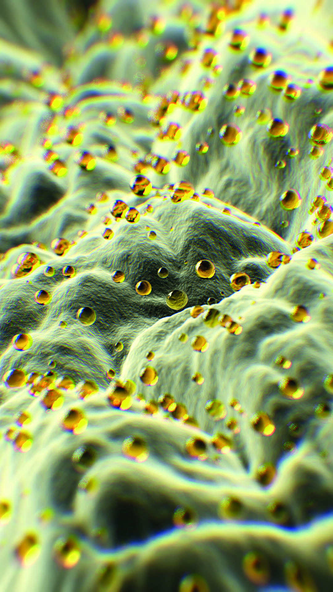 Macro view of emulsified Omega-3 droplets in a gel matrix